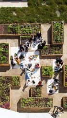 Rooftop Garden as a community space (Getty Salad Rooftop Garden, LA, USA)