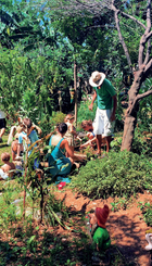 Photo: A day of collective work in community garden Horta das Corujas